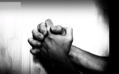 La vita che senso ha?