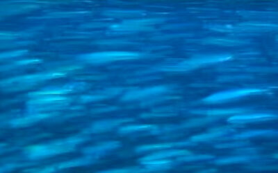 Il viaggio della terapia: perdersi e ritovarsi trasformati