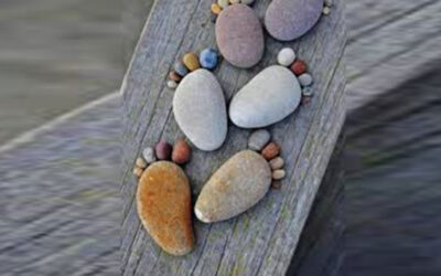 Un percorso da coltivare