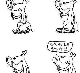 La sofferenza dipende dai nostri pregiudizi e illusioni